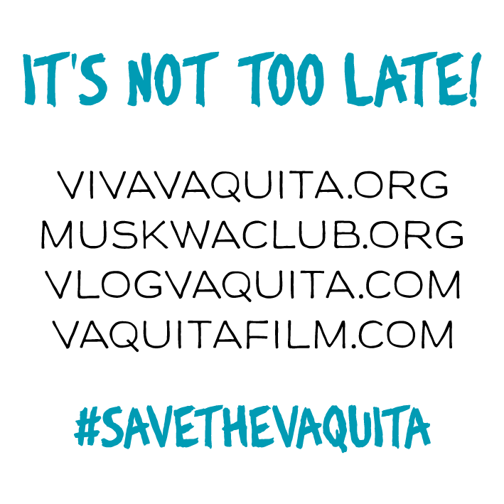 International Save the Vaquita Day 2018 shirt design - zoomed