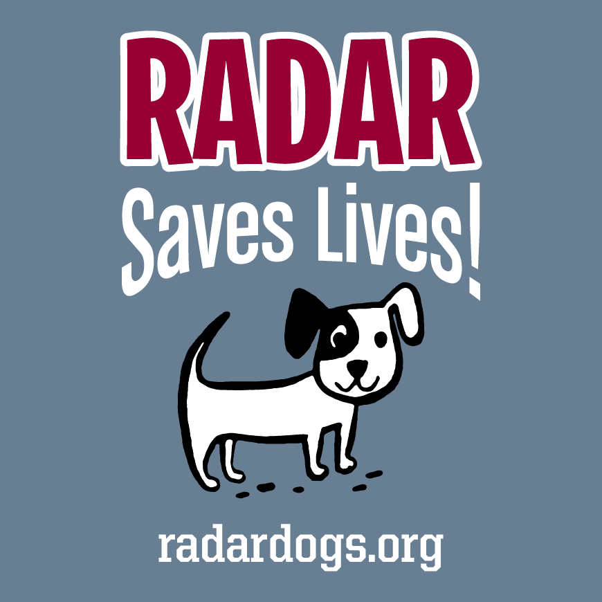 RADAR Saves Lives shirt design - zoomed