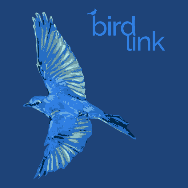BIRDLINK @ NYC Audubon shirt design - zoomed