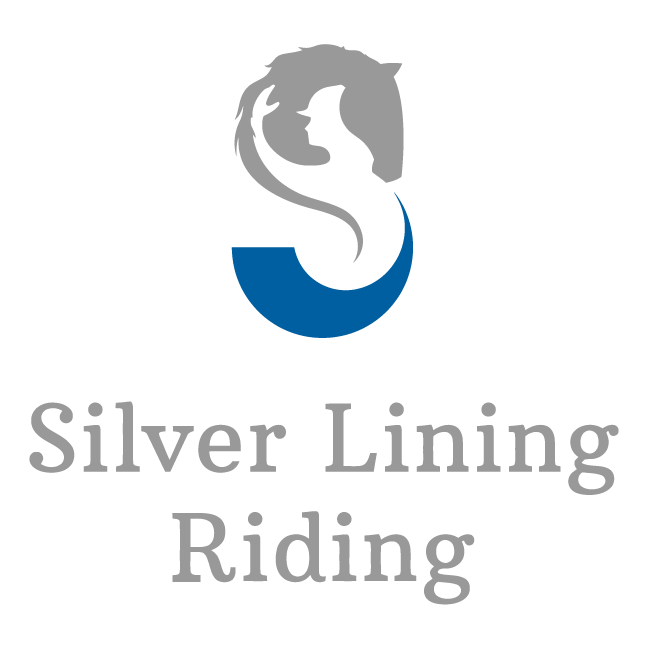 Silver Lining Riding T-shirts shirt design - zoomed