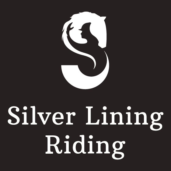 Silver Lining Riding T-shirts Black shirt design - zoomed