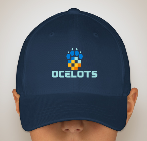 Omaha Virtual School Polo & Hat Fundraiser Fundraiser - unisex shirt design - back