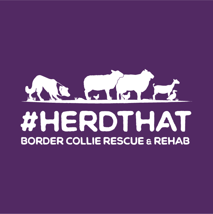 Border Collie Rescue & Rehab Fall Fundraiser - #HerdThat shirt design - zoomed