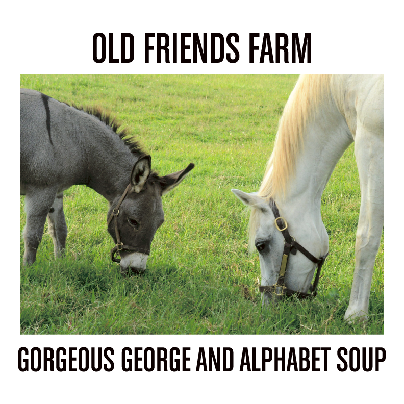 Old Friends Farm Fundraiser - Alphabet Soup and Gorgeous George shirt design - zoomed