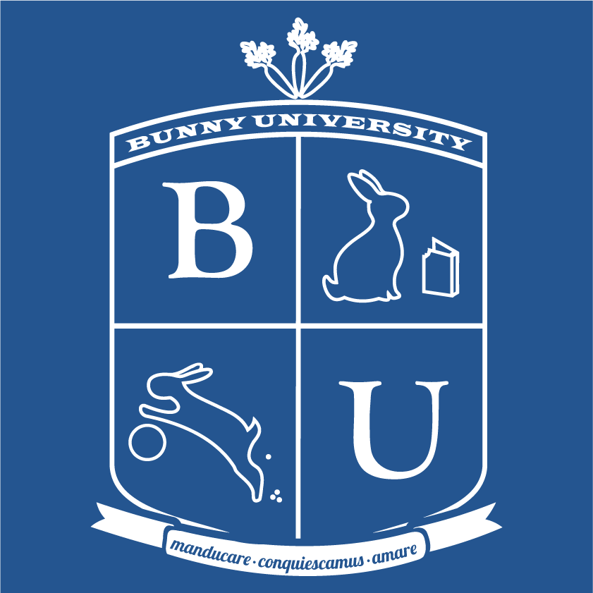 Bunny University shirt design - zoomed