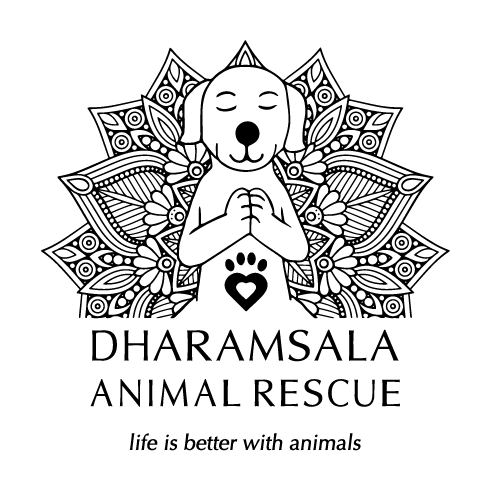 Dharamsala Animal Rescue Fundraiser shirt design - zoomed