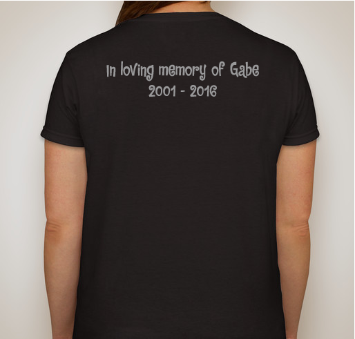 Gabe's shirt goes to t-shirts Fundraiser - unisex shirt design - back