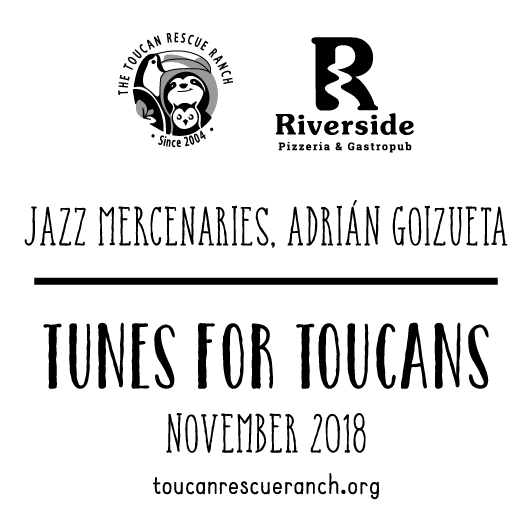 Tunes for Toucans shirt design - zoomed