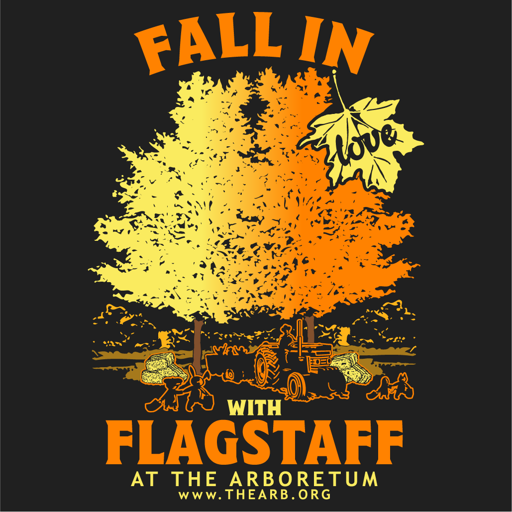 Fall In Love With Flagstaff shirt design - zoomed