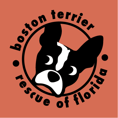Boston Licker T-shirt Fundraising Campaign ll shirt design - zoomed