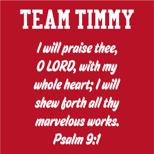 Team Timmy - Ronald McDonald House of Rochester, NY shirt design - zoomed