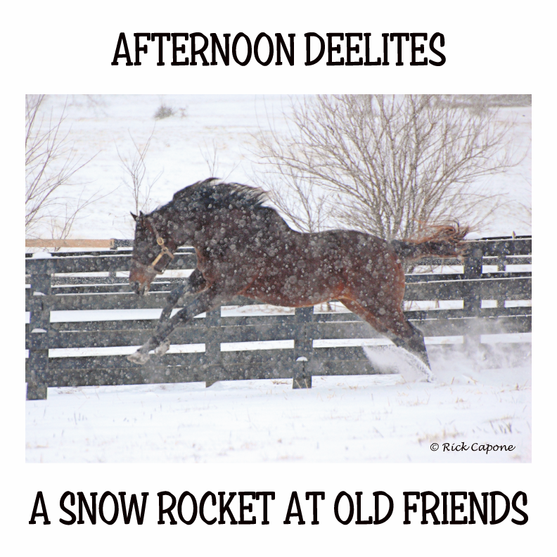Old Friends Farm Fundraiser - Afternoon Deelites in the snow! shirt design - zoomed