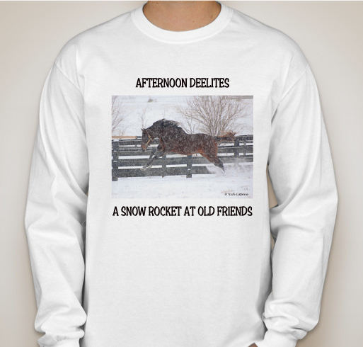 Old Friends Farm Fundraiser - Afternoon Deelites in the snow! Fundraiser - unisex shirt design - front