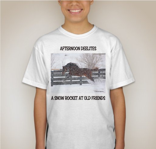 Old Friends Farm Fundraiser - Afternoon Deelites in the snow! Fundraiser - unisex shirt design - back