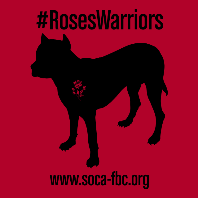 Rose's Warriors shirt design - zoomed