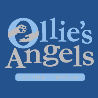 Ollie's Angels Apparel Fundraiser shirt design - zoomed
