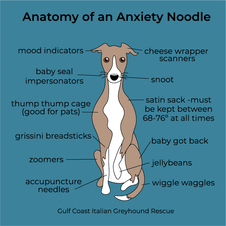 Anatomy of an Anxiety Noodle- Tanks shirt design - zoomed