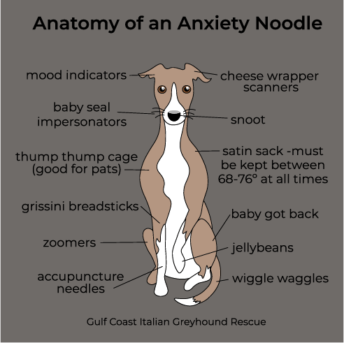 Anatomy of an Anxiety Noodle- Baseball Raglan shirt design - zoomed
