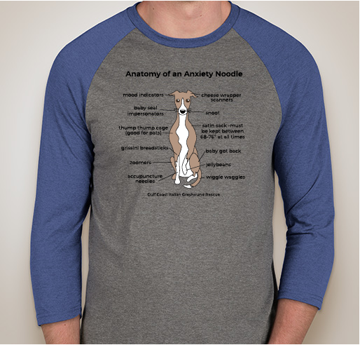 Anatomy of an Anxiety Noodle- Baseball Raglan Fundraiser - unisex shirt design - front