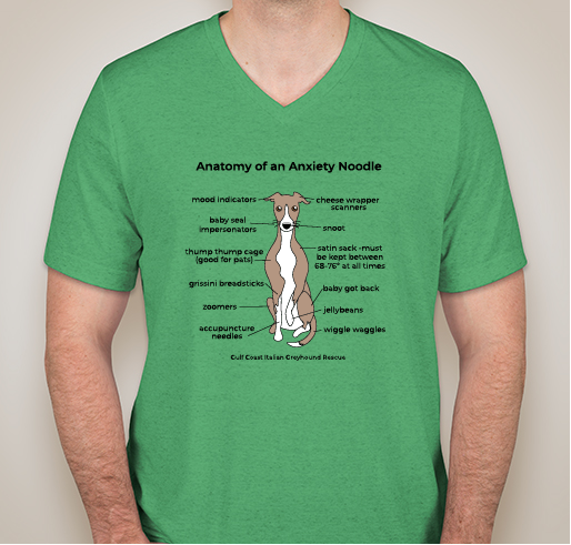 Anatomy of an Anxiety Noodle- Shirts/Sweatshirt Fundraiser - unisex shirt design - front