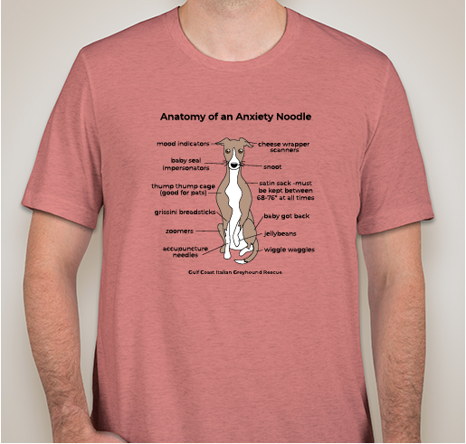 Anatomy of an Anxiety Noodle- Shirts/Sweatshirt Fundraiser - unisex shirt design - front