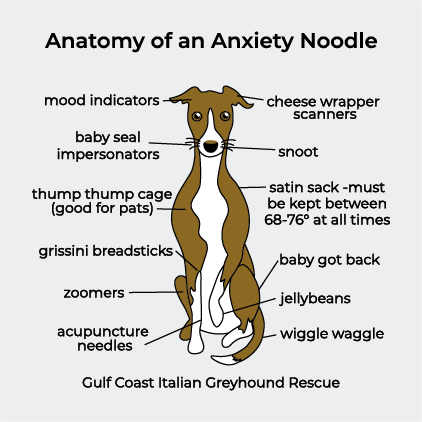 Anatomy of an Anxiety Noodle- Cup shirt design - zoomed