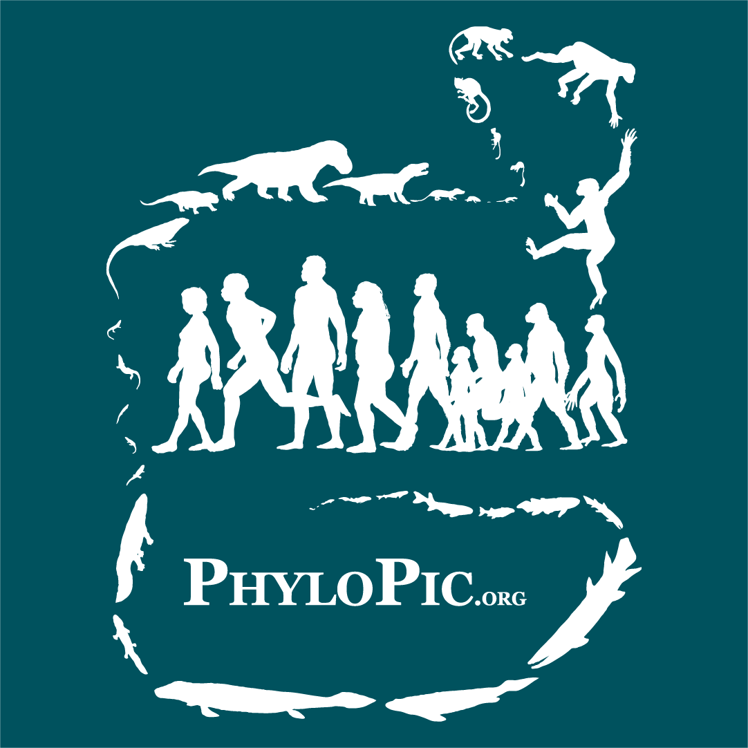 PhyloPic - free silhouettes of life forms shirt design - zoomed