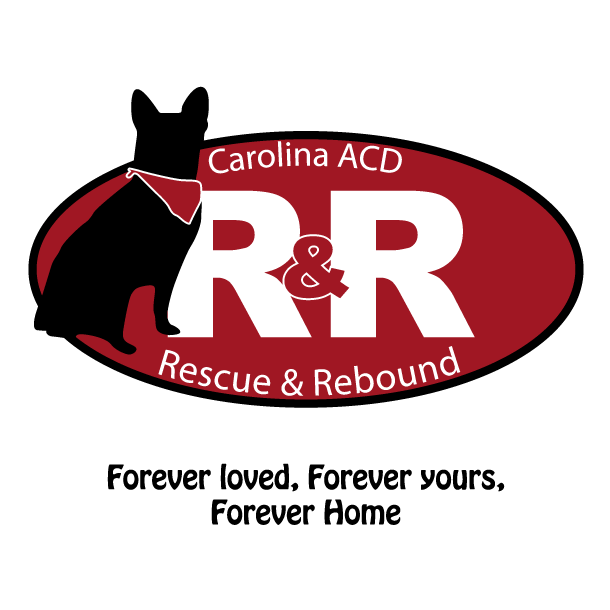 Carolina ACD Rescue & Rebound 2019 T-Shirt Fundraiser shirt design - zoomed