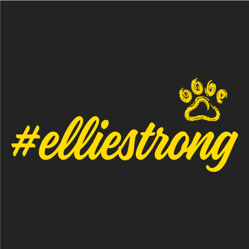 Support for Ellie! shirt design - zoomed