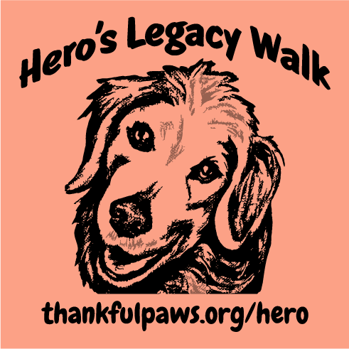 Hero's Legacy Walk to Fight Cushing's Disease shirt design - zoomed