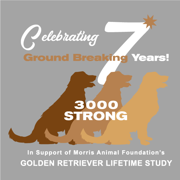 Golden Retriever Lifetime Study/Morris Animal Foundation shirt design - zoomed
