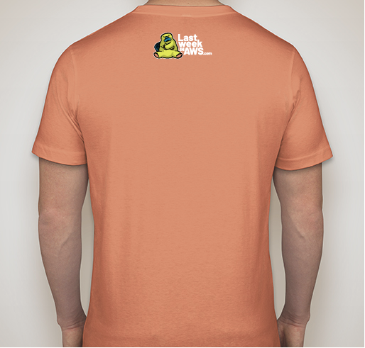 The 2019 Last Week in AWS Charity T-Shirt: AH-Mee Fundraiser - unisex shirt design - back