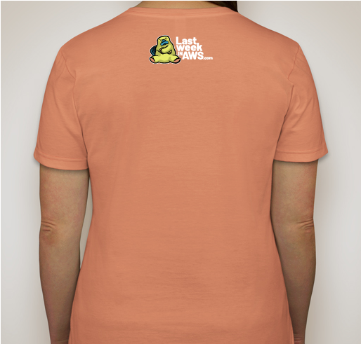 The 2019 Last Week in AWS Charity T-Shirt: AH-Mee Fundraiser - unisex shirt design - back