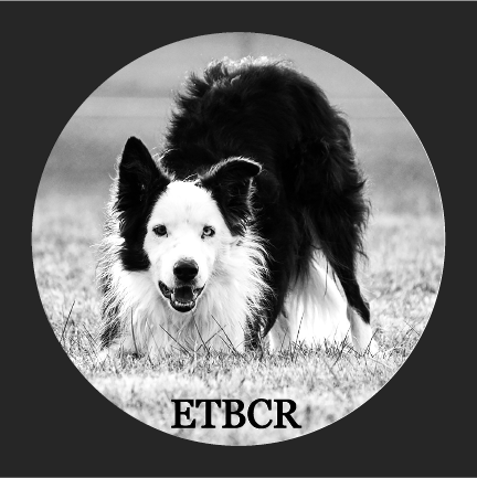 East Tennessee Border Collie Rescue All Season Collection (Zip-up) shirt design - zoomed