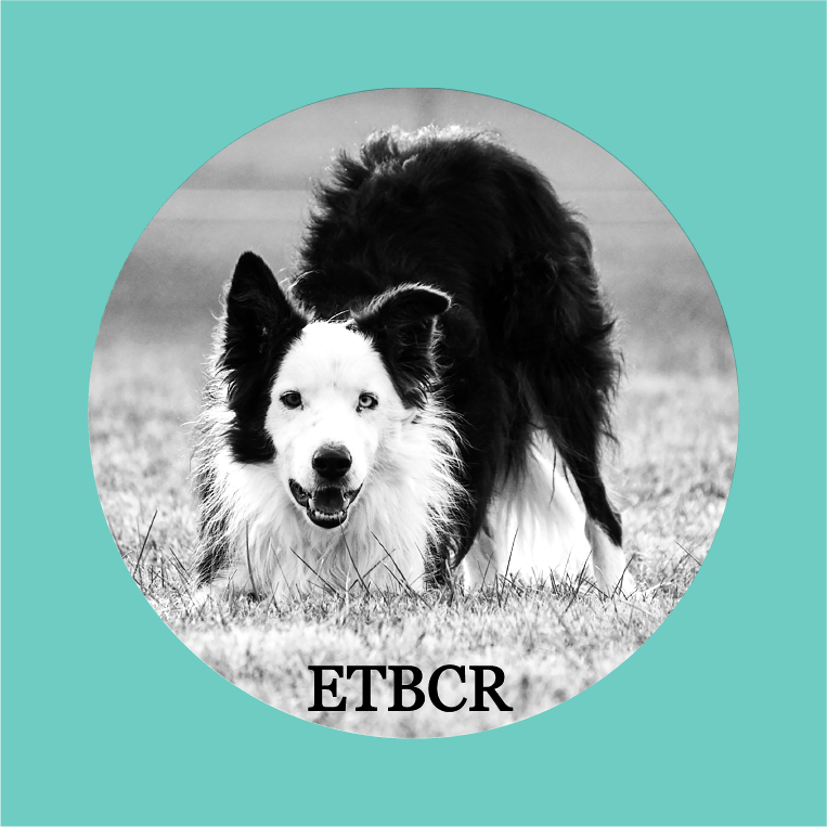 East Tennessee Border Collie Rescue All Season Collection (Hoodie) shirt design - zoomed