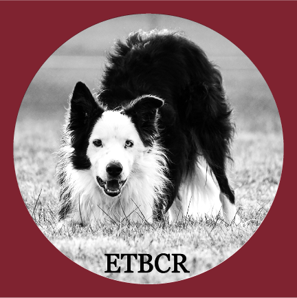 East Tennessee Border Collie Rescue All Season Collection ( T-shirts) shirt design - zoomed