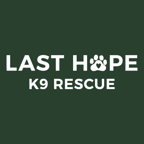 All I Want for Christmas is For You to Adopt a Rescue Dog - LHK9 Rescue shirt design - zoomed