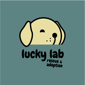 Lucky Lab Rescue and Adoption Sweat Shirt Hoodie for Winter shirt design - zoomed