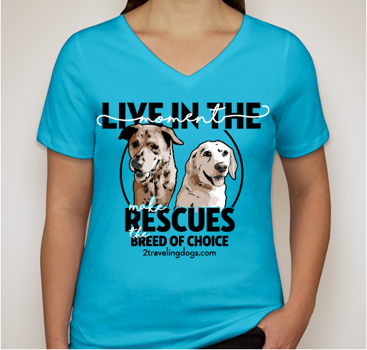 The 2 Traveling Dogs "Live In The Moment" Tour Fundraiser - unisex shirt design - front