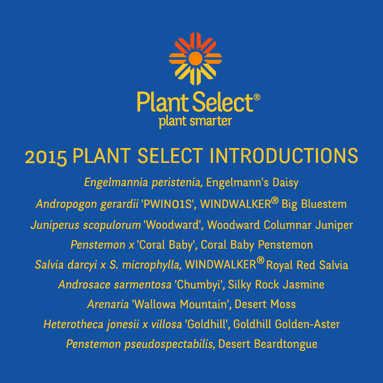 Plant Select's Spring 2020 T-Shirt Campaign- Engelmann's Daisy! shirt design - zoomed