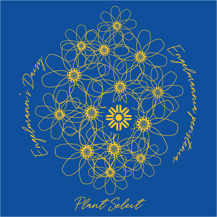 Plant Select's Spring 2020 T-Shirt Campaign- Engelmann's Daisy! shirt design - zoomed