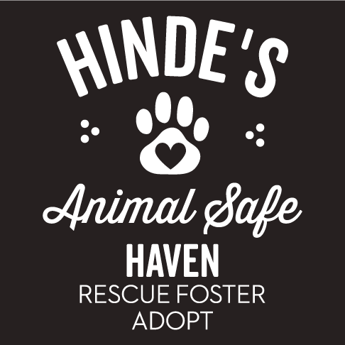 Hinde's t-shirt fundraiser--Take 2! shirt design - zoomed