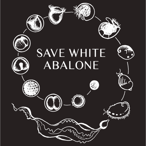 Save White Abalone shirt design - zoomed