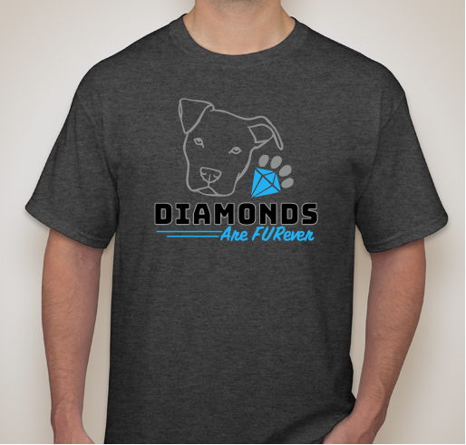 Diamond Fundraiser - unisex shirt design - front
