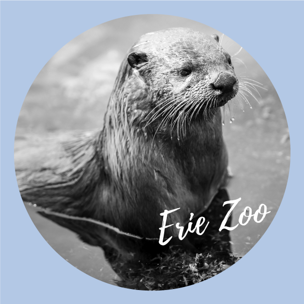 Erie Zoo Emergency Fundraiser shirt design - zoomed