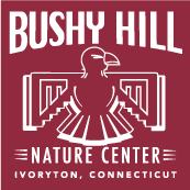 Incarnation Center Trail Crew Bushy Hill Department T-Shirt shirt design - zoomed