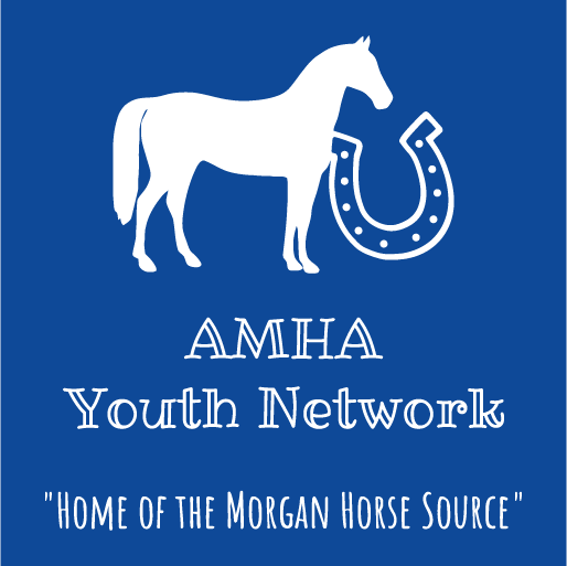 Youth Council AMHA Fundraiser shirt design - zoomed
