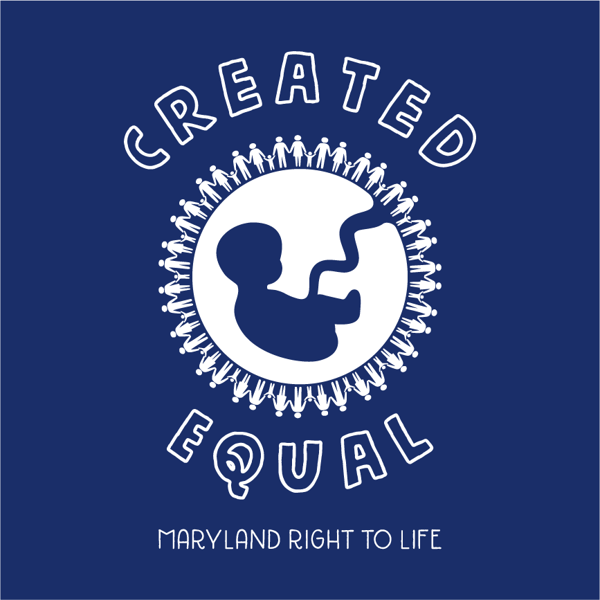 "Created Equal" Jersey T-Shirt shirt design - zoomed