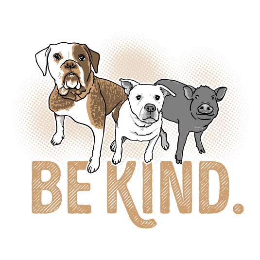 Be Kind Campaign benefiting Central Texas Pig Rescue shirt design - zoomed