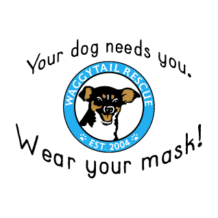 Face Masks by Waggytail Rescue shirt design - zoomed